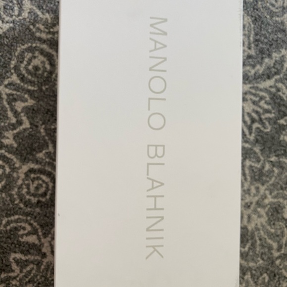 Manolo Blahnik Iluna buckle slide - Picture 2 of 5